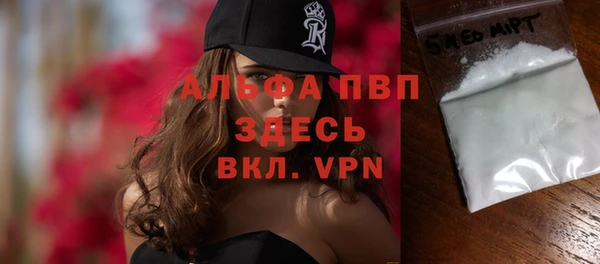 стаф Алексин