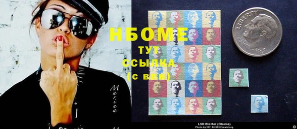 стаф Алексин