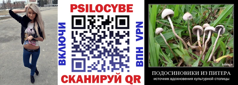 продажа наркотиков  Новомичуринск  Галлюциногенные грибы Magic Shrooms 