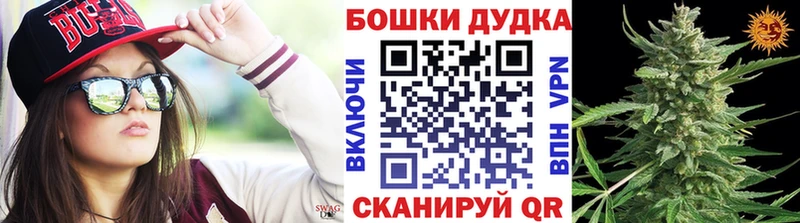 Конопля план Новомичуринск